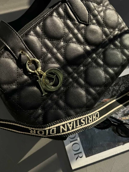 کیف DIOR پلاک دار