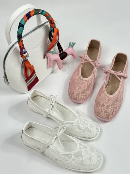 کالج لودشکا گیپوری 2444