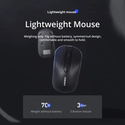 ست موس و کیبورد بی سیم چری DW-2300