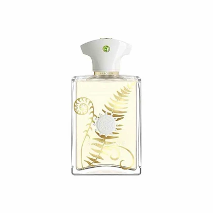 عطر ادکلن آمواج براکن مردانه 100 میل اشدی Amouage Bracken for Men Ashdi 100ml