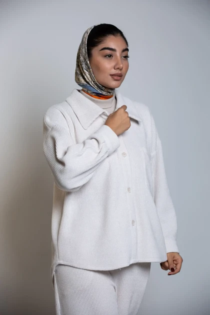 شکت بیسکوییتی