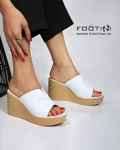 کفش لژدار