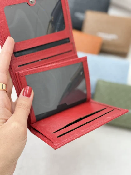 کیف پول ساتلی