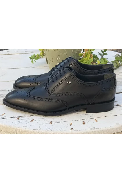 کفش کلاسیک مردانه pierre-cardin