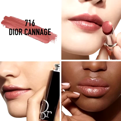 رژلب دیور ادیکت آبرسان و براق Dior Addict Hydrating Shine Lipstick