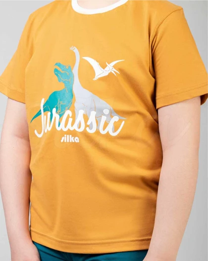 ست راحتی پسرانه طرح jurassic