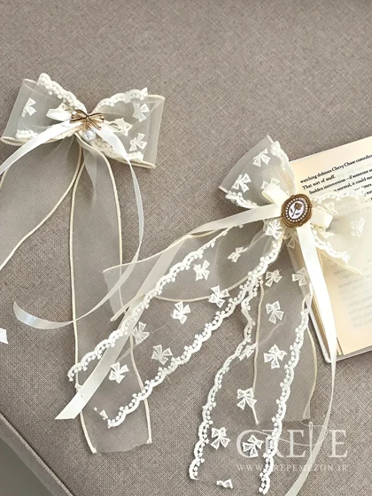 گیره پاپیونی دوبل