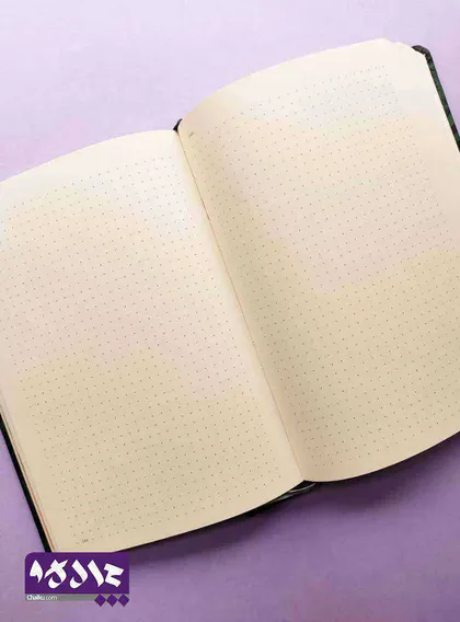 دفتر بولت ژورنال نقطه ای دات نوت