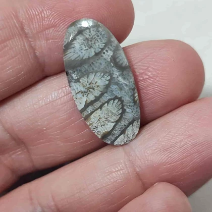 سنگ مرجان فسیلی اصل کد15