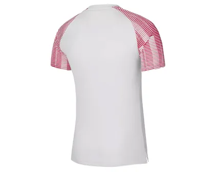 پیراهن فوتبال M Nk Df Academy Jsy Ss PC_DH8031-100