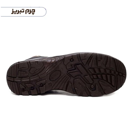 کفش ایمنی پاژند فیدار تبریز مدل نپال SB113