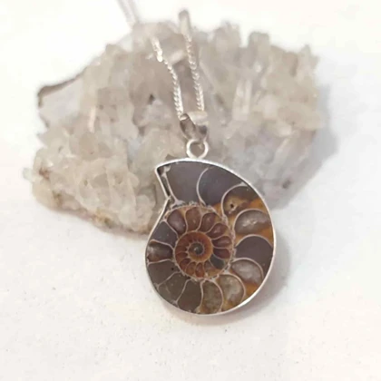 فسیل آمونیت طبیعی اصل کد 61