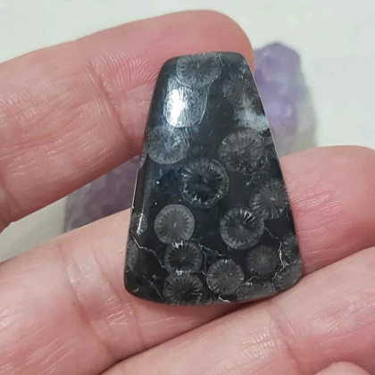 نگین مرجان فسیلی سیاه اصل کد 4