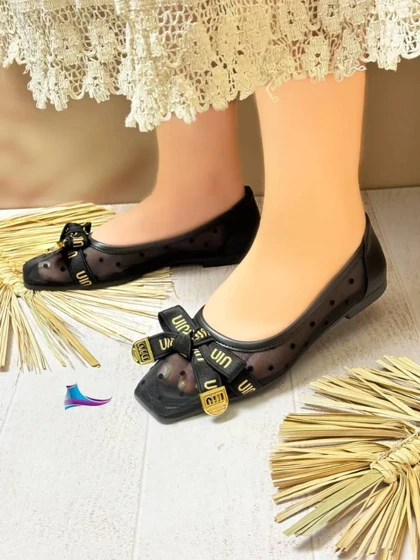 کفش مجلسی