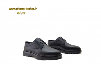 کفش لوفر مردانه چرم طبیعی