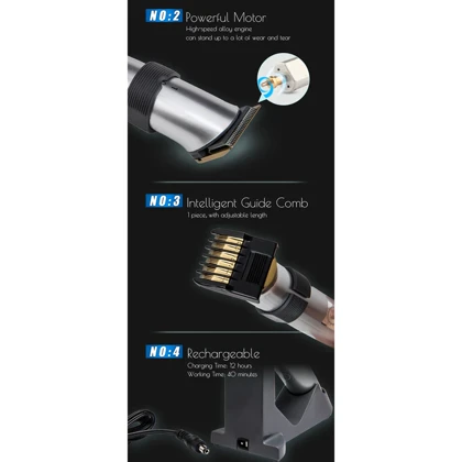 ماشین اصلاح موی صورت شارژی دینگ لینگ مدل RF‑608