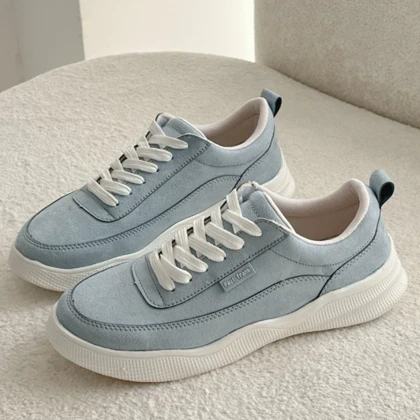 ونس جدید بنیتا 331