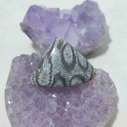 نگین مرجان فسیلی اصل کد10