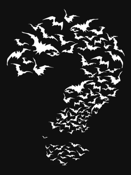 تیشرت کلاسیک بتمن | تیشرت CLASSIC BATMAN طرح Bat The Riddler کد 110136