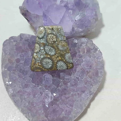 نگین مرجان فسیلی اصل کد9