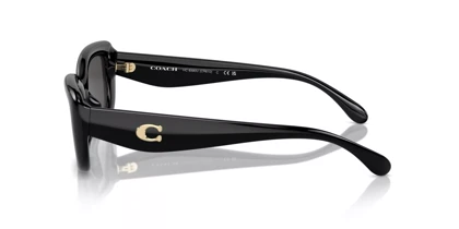 عینک آفتابی کوچ Coach HC8390U