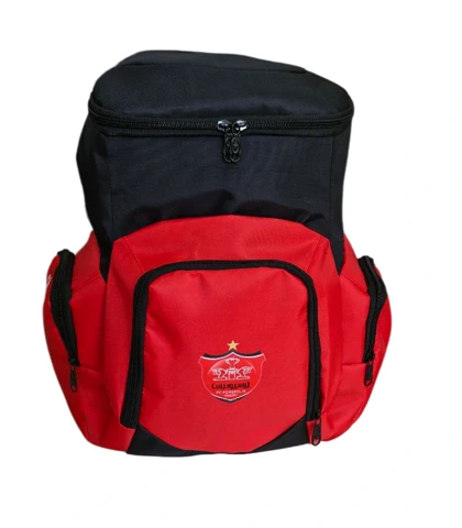 کوله پشتی اسیکس جاکفشی دار پرسپولیس Persepolis