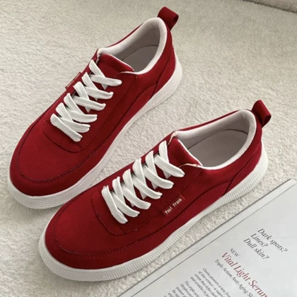 ونس جدید بنیتا 331