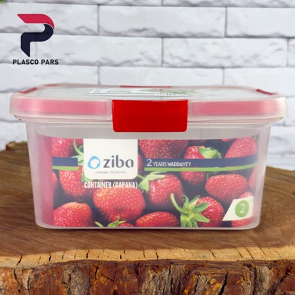 ظرف فریزری مستطیل 2 لیتر گاپانا زیبا