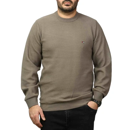 پلیور بافت فندقی مردانه مدل 659853