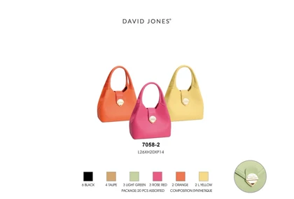 کیف دستی مدل David Jones 7058-2