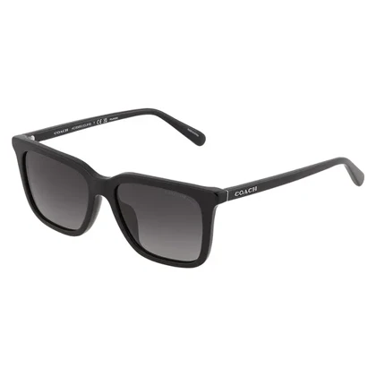 عینک آفتابی کوچ Coach HC8385U 5002T3