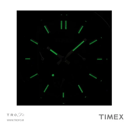 ساعت مچی عقربه ای مردانه تایمکس (Timex) مدل TW2Y22700