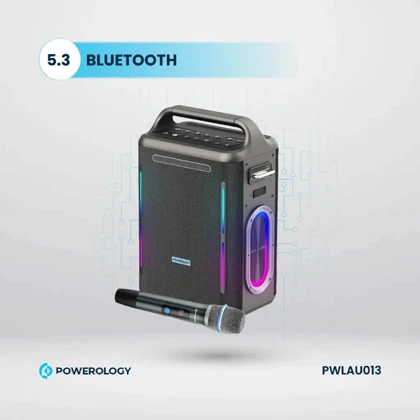 اسپیکر بلوتوثی با میکروفون کارائوکه پاورولوژی PWLAU013