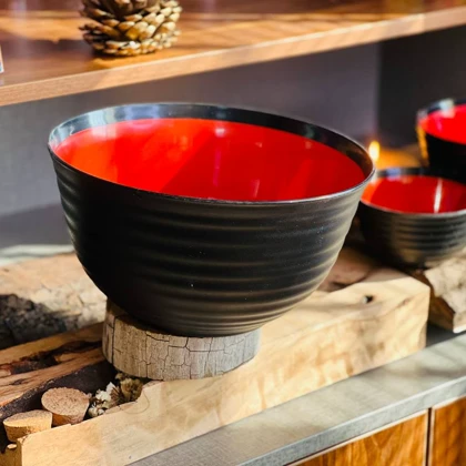 کاسه پلاستیکی مسافرتی