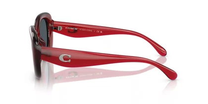 عینک آفتابی کوچ Coach HC8391U