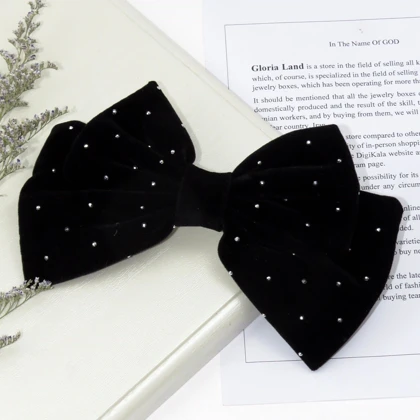 گیره مو زنانه مدل فرانسوی نگین‌دار کد G_Lnd_3178