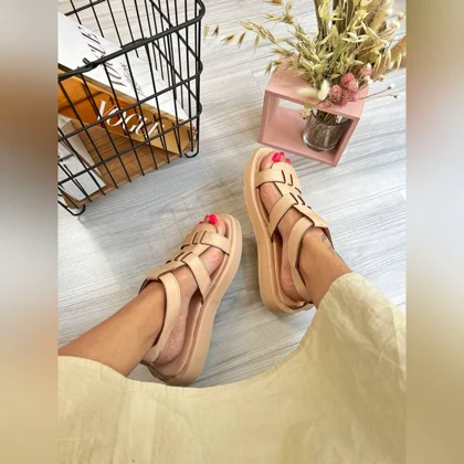 صندل خرچنگی _ 1509