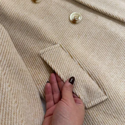 پالتو ایسومی