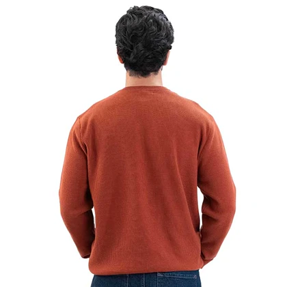 پلیور بافت یقه گرد رگولارفیت مردانه - 03252158
