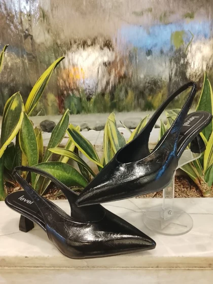 مجلسی پشت‌باز