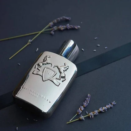 مارلی پگاسوس Marly Pegasus