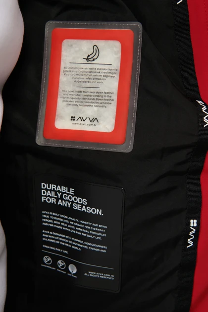 کت و کاپشن مردانه اوا avva