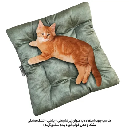 کوسن و زیرنشیمنی فوروارد مدل FORWARD - FCLT5050 SQUARE