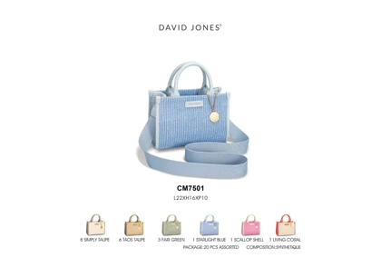 کیف دوشی مدل David Jones CM7501