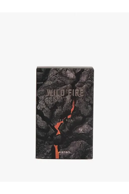 عطر مردانه Wild Fire Edt 100 ml 8683350869262 1YAM61061AA