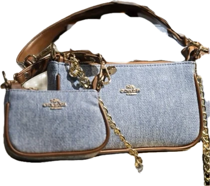 کیف دو قلو تییونا “TWINA