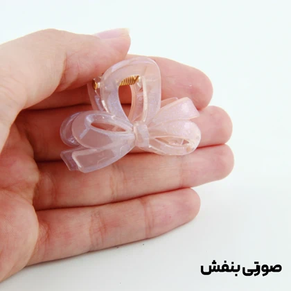 کلیپس دخترانه مدل پاپیون کوچک دو رنگ
