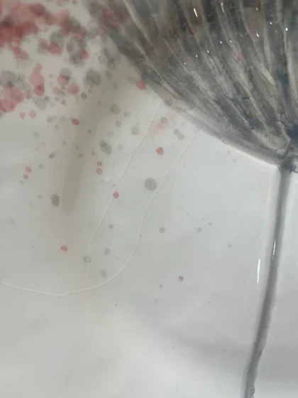 بشقاب گود قاصدک