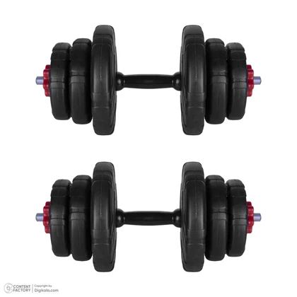 دمبل رادیس فیت مدل DVP-10mix1-v1 وزن 10 کیلوگرم بسته 2 عددی
