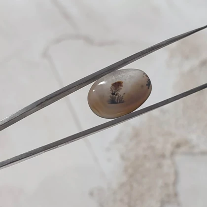 عقیق شجر قائن اصل کد 23